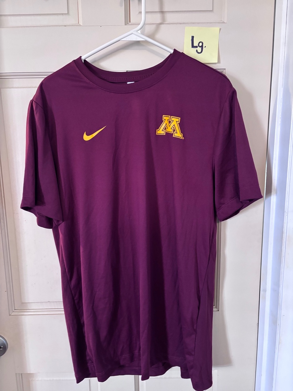 Nike MINNESOTA GOPHERS Sideline Legend Dri-Fit shirt